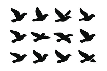 Set of twelve black silhouettes of flying doves in various stages of wing movement