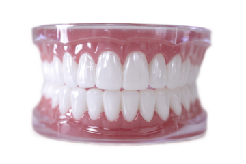 Gentle Teeth Whitening Kit for Sensitive Teeth Isolated on Transparent Background