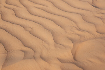 Waves of golden sand in Desert showcasing the natural beauty and unique patterns formed by wind. High quality photo