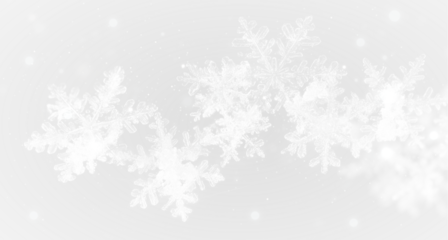 Realistic PNG falling snowflakes background on transparent
