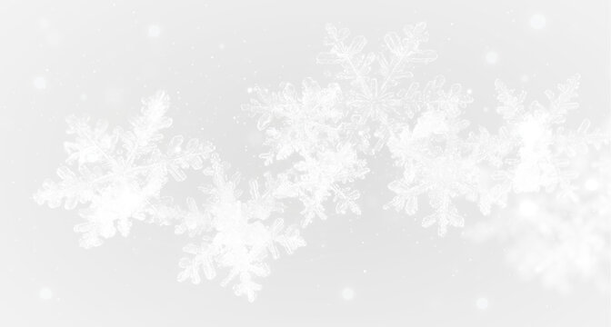 Realistic PNG falling snowflakes background on transparent
 - Powered by Adobe