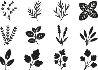 Silhouette Herb and Leaf Icons Set. Leaves, Herbs, Plant Design, Greenery Vector Illustration