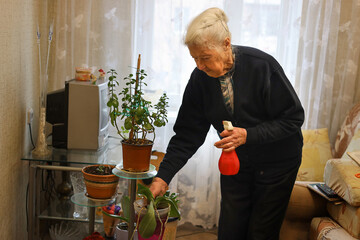 Senior woman watering flowers in her apartment.