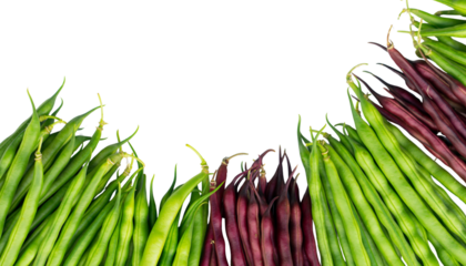 Fresh green and red string beans creating a colorful food ingredient display, showing healthy eating and organic produce isolated on solid white background2
