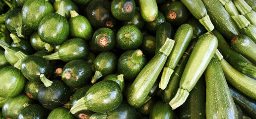 Fresh farm zucchini piled on market stall, mix of round and classic elongated squash, vegetables...