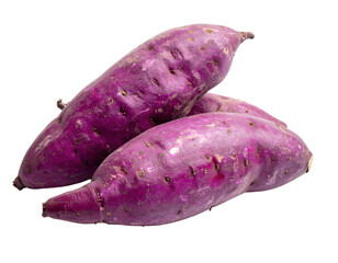 Purple yam whole tuber smooth surface isolated white background