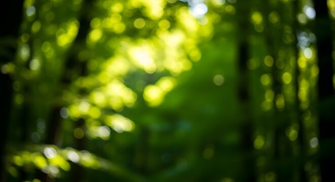 Abstract bokeh of green leaves and sunlight filtering through trees in a forest setting outdoors