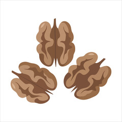 Whole walnut nuts with shells and kernel pieces isolated vector illustration on white background