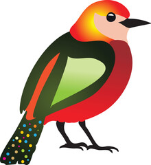 Vibrant Bird Illustration Showcasing Feathers Displaying Unique Plumage and Artful Colors Perfect for Nature Enthusiasts and Bird Watchers
