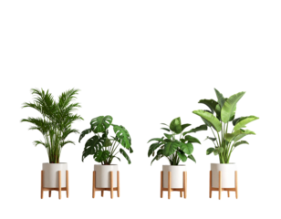 Trio of Lush Hanging Greenery for Home Decor