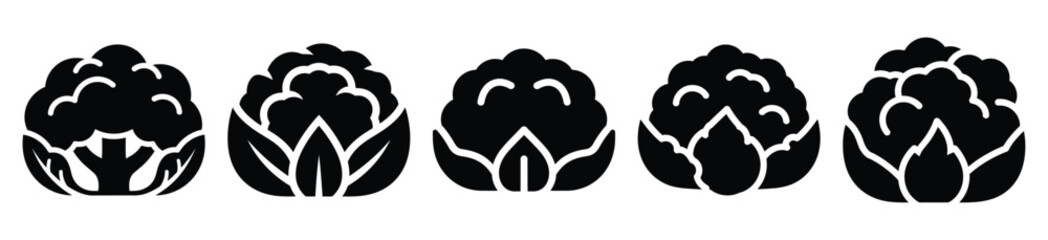 set of  cauliflower head icon vector illustration isolated on white background