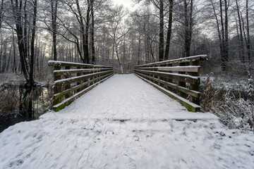 Zima nad rzeką Supraśl, Puszcza Knyszyńska, Podlasie