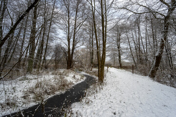Zima nad rzeką Supraśl, Puszcza Knyszyńska, Podlasie