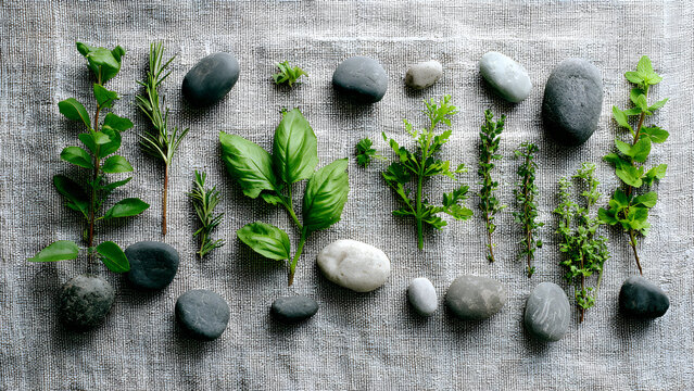 Flat-lay herbs arranged with pebbles across linen fabric creating a fresh clean spa-inspired look