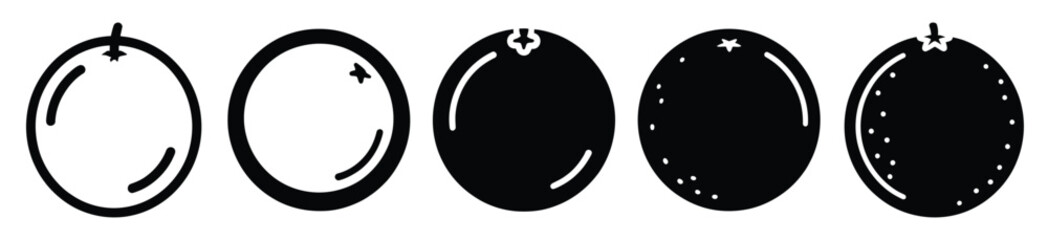 set of  orange citrus icon vector illustration isolated on white background