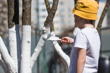The trunk of a tree and the hand of a boy gardener with a brush and whitewash, painting an apple tree. Whitewashing fruit trees in spring and autumn to protect them from insects and diseases. © Юлия Клюева