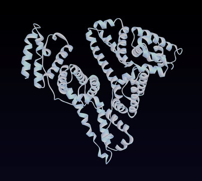 Albumin protein molecule. Human serum albumin (HSA) 3D ribbon cartoon structural model on dark background. 3D rendering. Illustration