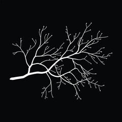 Hand-drawn Coral silhouette illustration white background