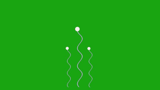 Continuous minimal motion graphics, Line art waves animation,  curve line zigzag retro, hand drawn line animation on transparent green screen  background