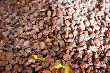 Fresh dried raisins close up filling frame with glossy, brown, and reddish tones