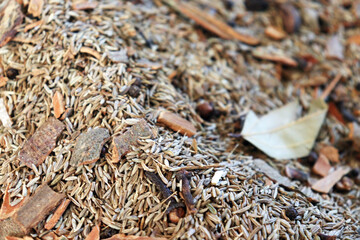 Raw garam masala spice blend top view