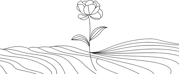 hand drawn flower