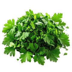 Obraz premium A vibrant pile of freshly chopped green parsley leaves against a stark black background.