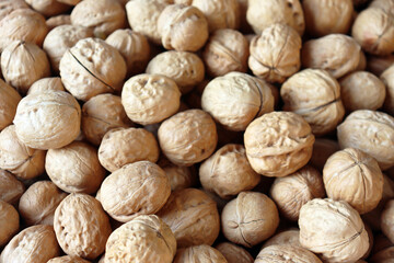 Walnuts close up showing densely packed unshelled nuts with textured natural brown shells