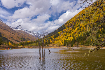 Siguniang Mountains (Four Girls Mountain) is a famous tourist attraction in Sichuan, China, It features mountains, pine forest streams and wild animals and has been certified as a 5A level 