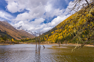 Siguniang Mountains (Four Girls Mountain) is a famous tourist attraction in Sichuan, China, It features mountains, pine forest streams and wild animals and has been certified as a 5A level 