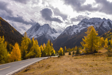 Siguniang Mountains (Four Girls Mountain) is a famous tourist attraction in Sichuan, China, It features mountains, pine forest streams and wild animals and has been certified as a 5A level 