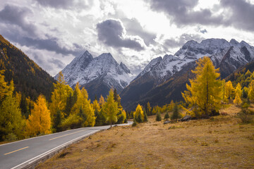 Siguniang Mountains (Four Girls Mountain) is a famous tourist attraction in Sichuan, China, It features mountains, pine forest streams and wild animals and has been certified as a 5A level 