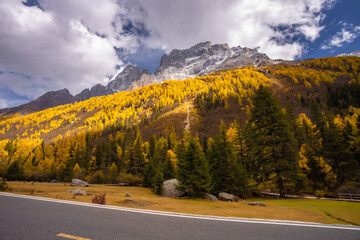 Siguniang Mountains (Four Girls Mountain) is a famous tourist attraction in Sichuan, China, It features mountains, pine forest streams and wild animals and has been certified as a 5A level 