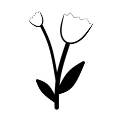Simple black and white illustration of two tulips