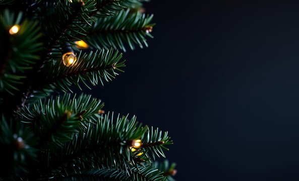 Beautiful christmas background with green pine tree brunch close up copy space trendy moody dark toned design for seasonal quotes vintage december wallpaper natural winter holiday forest backdrop chri