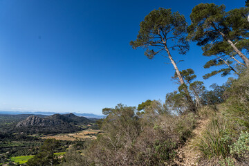 view of the Galdent mountain range from Randa village, Algaida, Algaida, Mallorca, Balearic Islands, Spain
