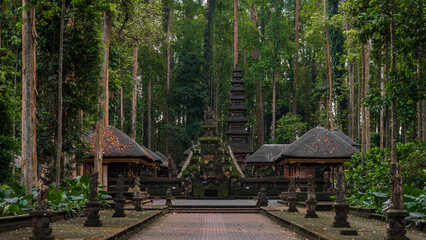 tropical forest in Bali