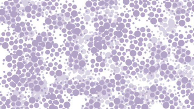 White background with purple circle dots, animated stop motion moving pattern