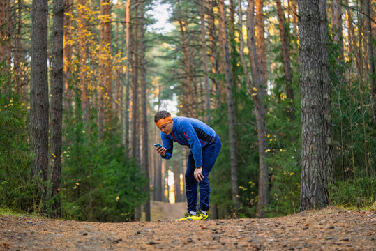 Man pausing during a forest run to check his phone, monitoring his fitness data and navigation through a tracking application on a natural path under pine trees