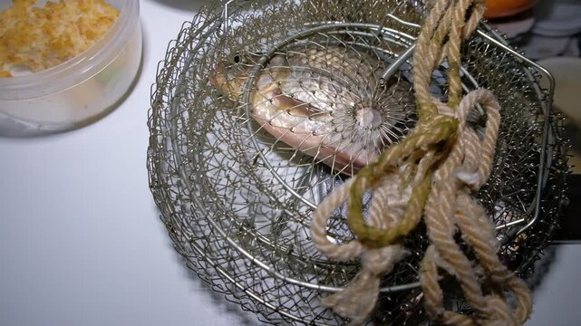 fLive crucian carp in a cage after fishing ish in a basket