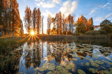 Wetlands near the village of jablonne v Podjestedi