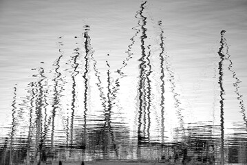 maszty żaglowców odbite w wodzie, czarno-biały obraz masztów odbitych w wodzie, sailboat masts reflected in the sea water  © kateej