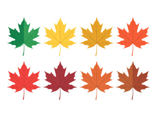 Fototapeta premium A digital illustration of eight maple leaves arranged in two rows against a white background.