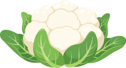 “White cauliflower with green leaves, puffy cute cartoon texture, kid-friendly