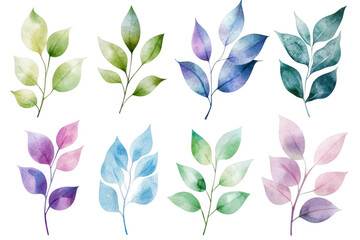 A collection of watercolor leaves in various shades. intricate details and natural forms. perfect for botanical illustrations or nature-themed designs