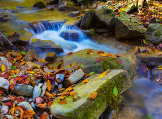 small emerald river flow through mountain canyon covered by red dry leaves, autumn mountain river scene
