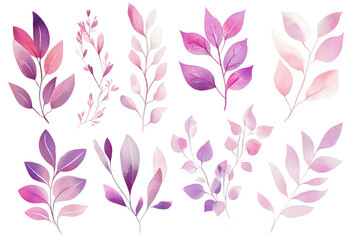 A collection of watercolor leaves in shades of pink and purple. various shapes and sizes. perfect for botanical illustrations or nature-themed designs