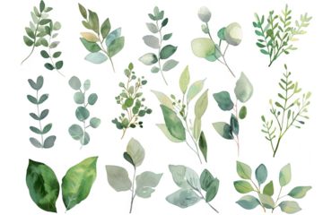 A collection of watercolor illustrations various green leaves and botanical elements. perfect for nature-themed designs or backgrounds. set against a clean white backdrop