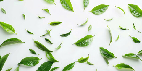 Green tea leaves scattered on white background