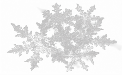 Ilustracin de copo de nieve en forma de dentritas estelares, navidad, invierno Png
